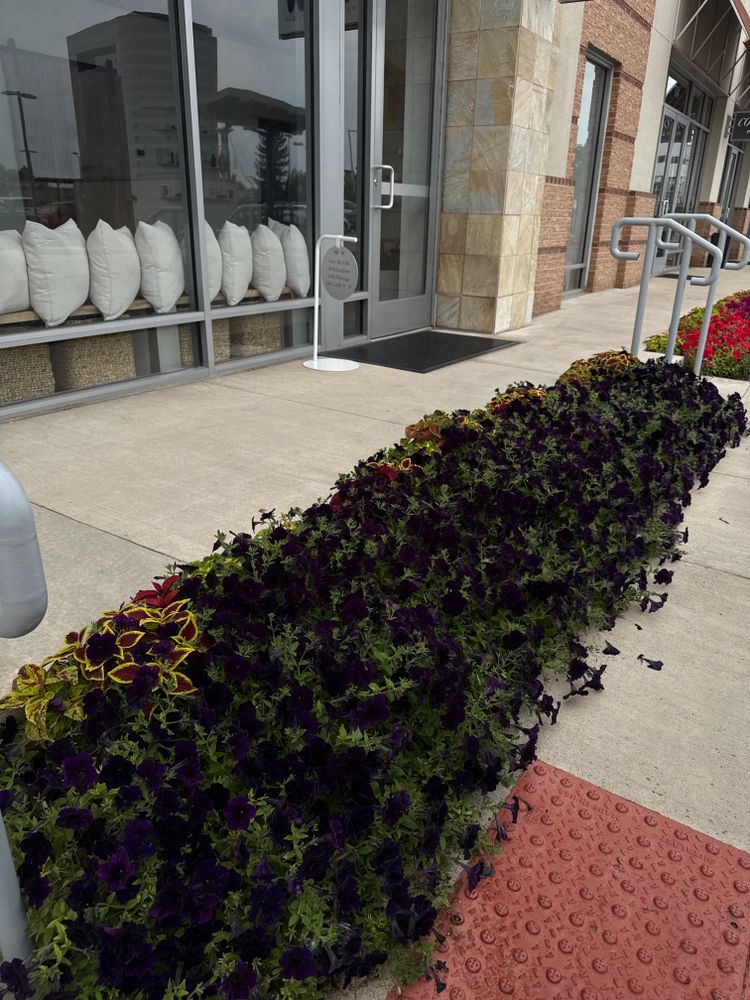 All Photos for Ecogreen Landscape in Denver, CO