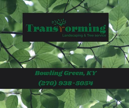 All Photos for Transforming Landscaping & Tree Service in Bowling Green, KY