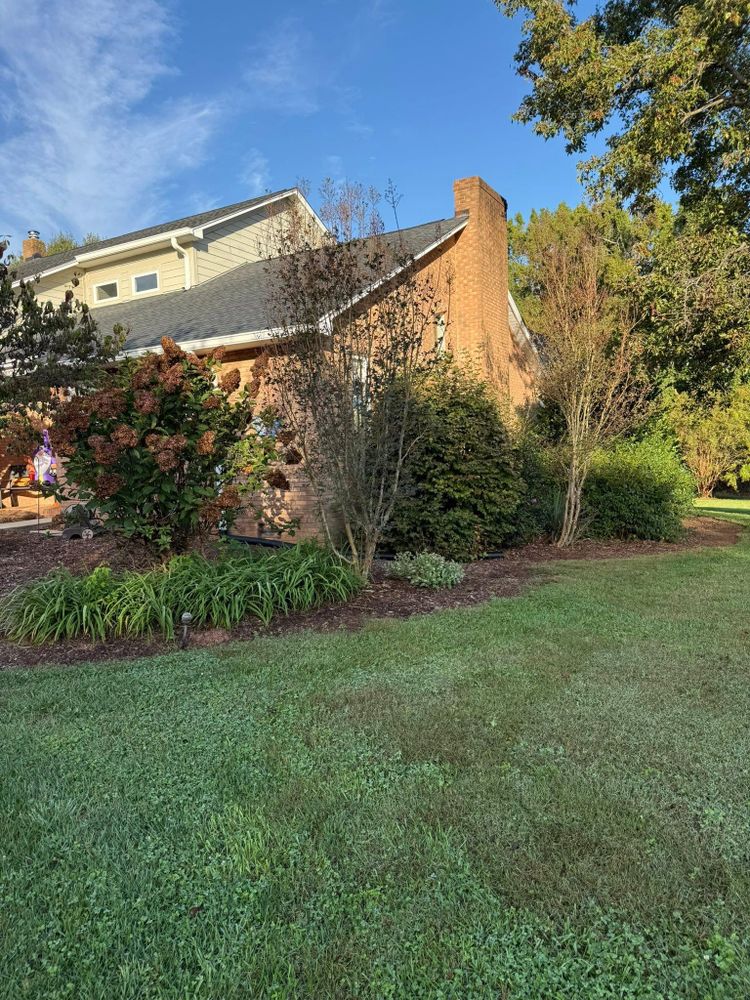 All Photos for Brooks Tree Service in Casar, NC