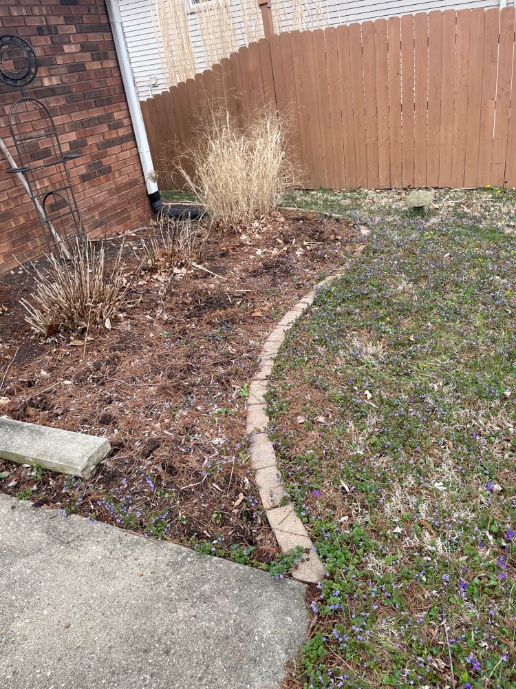 All Photos for MDR Landscaping in Urbana, IL