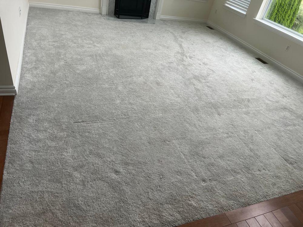 All Photos for Dib 896 Flooring in Dearborn Heights, MI