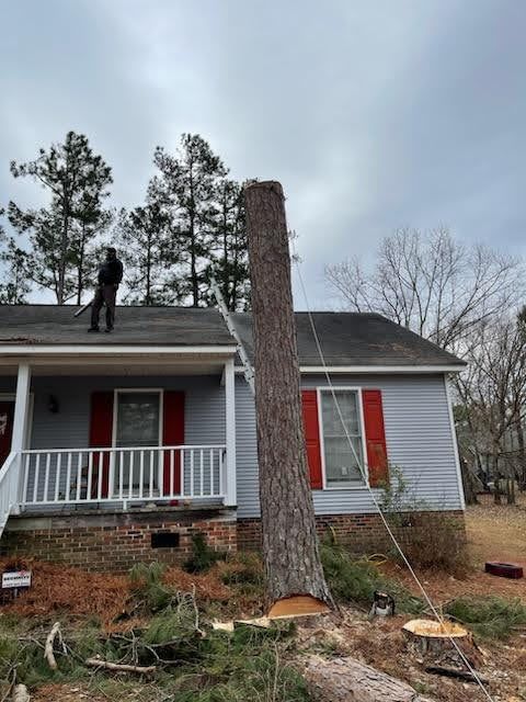 Tree Removal for Tucker's Tree Service and Stump Grinding in Lugoff, SC