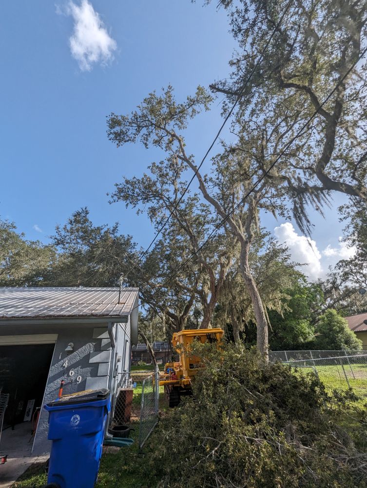 All Photos for Regal Tree Service and Stump Grinding in Wauchula, FL