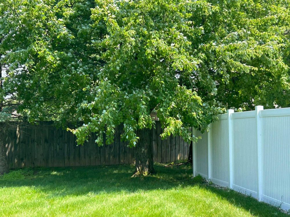 All Photos for Bearforce Lawn Care LLC in Greenfield, IN