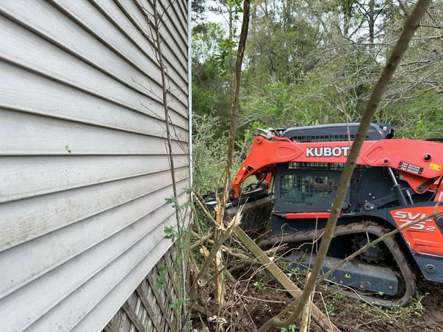 Tree Cleanup  for D&D Services of Pensacola in Pensacola, FL