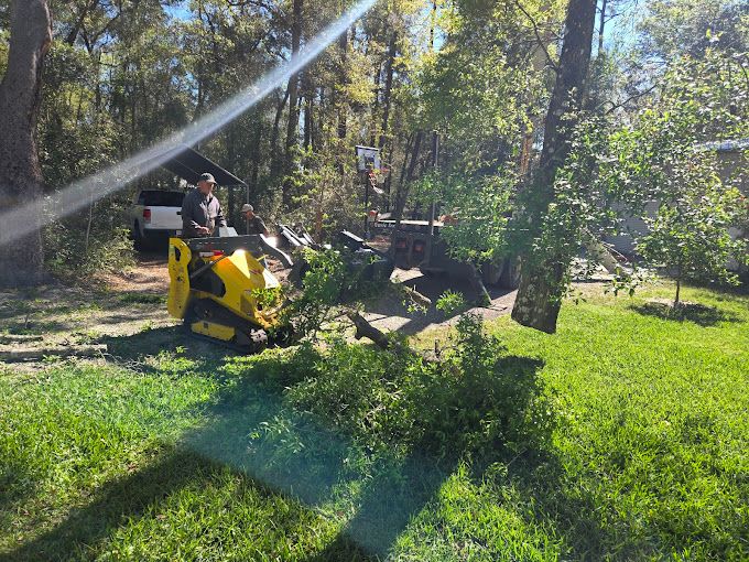 All Photos for Near Me Tree Service, Inc. in DeLand, FL