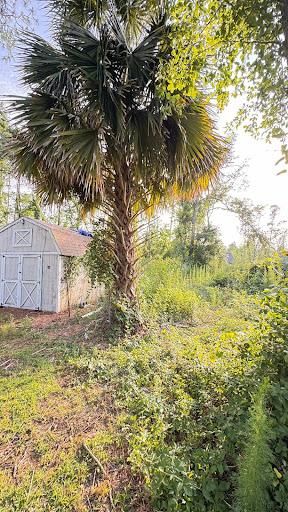 All Photos for Giles Land Management, LLC in Hahira, GA