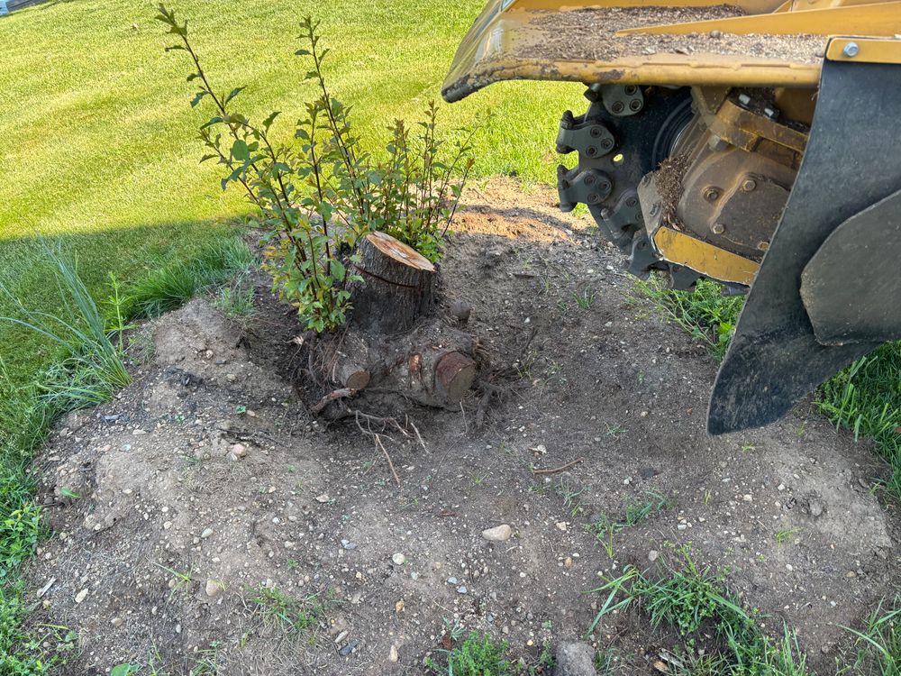 All Photos for Conrad's Stump Removal in Columbus, IN