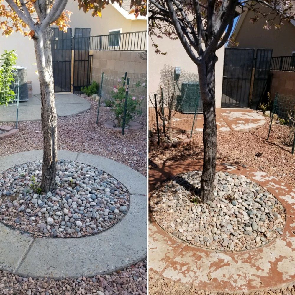 All Photos for Not Just Concrete in Albuquerque, NM