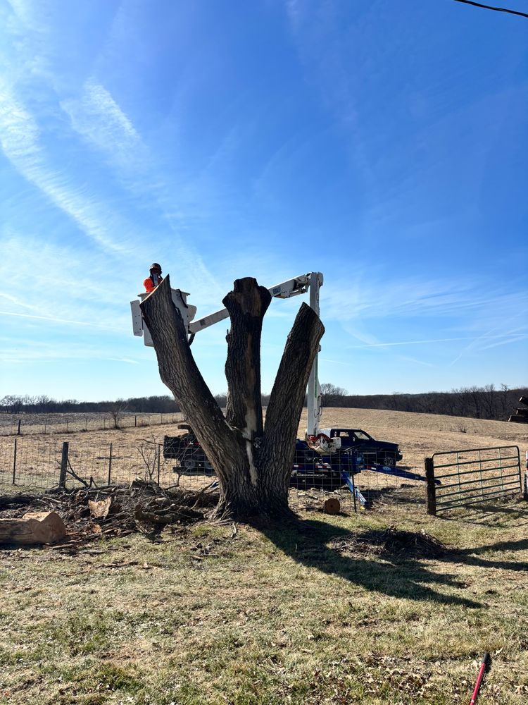 All Photos for Cross Family Tree Service in Kearney, MO
