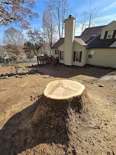 All Photos for M&L Lumber and Excavating in Jonesborough, TN