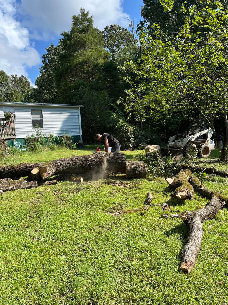 Tree Removal for DW’s Tree Service in Winston-Salem, NC