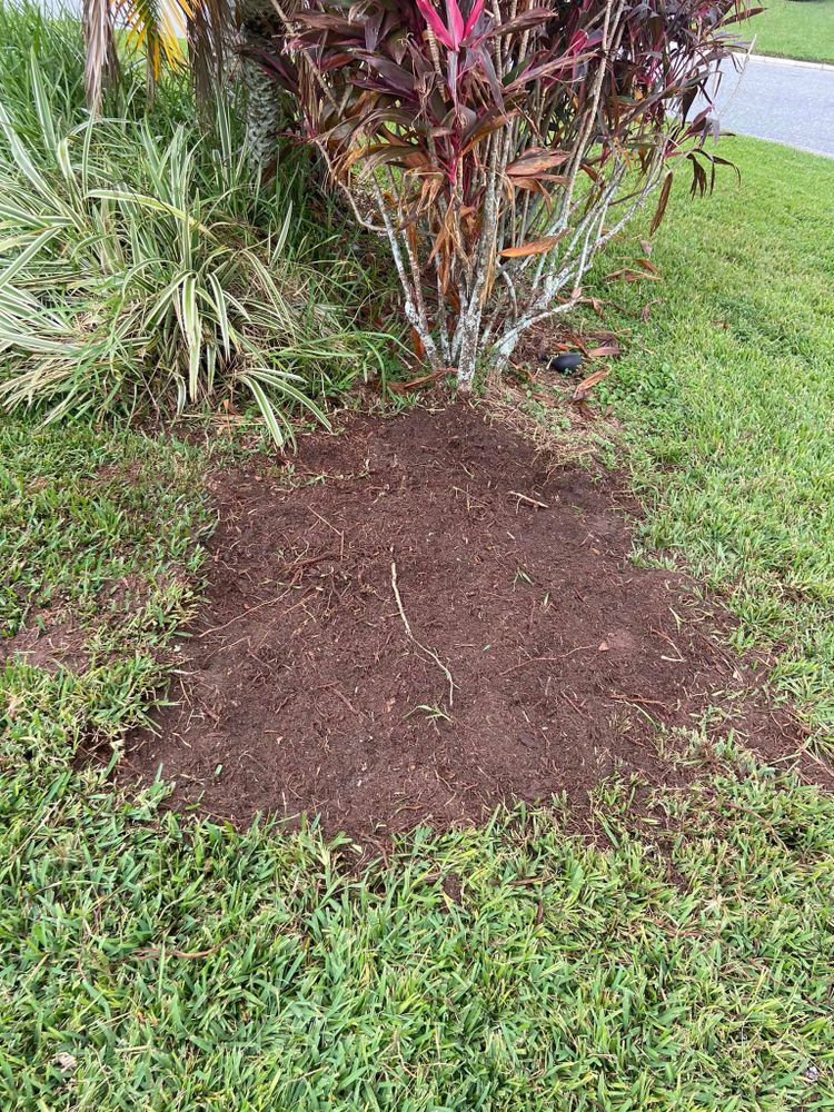 Fall and Spring Clean Up for Efficient and Reliable Tree Service in Lake Wales, FL