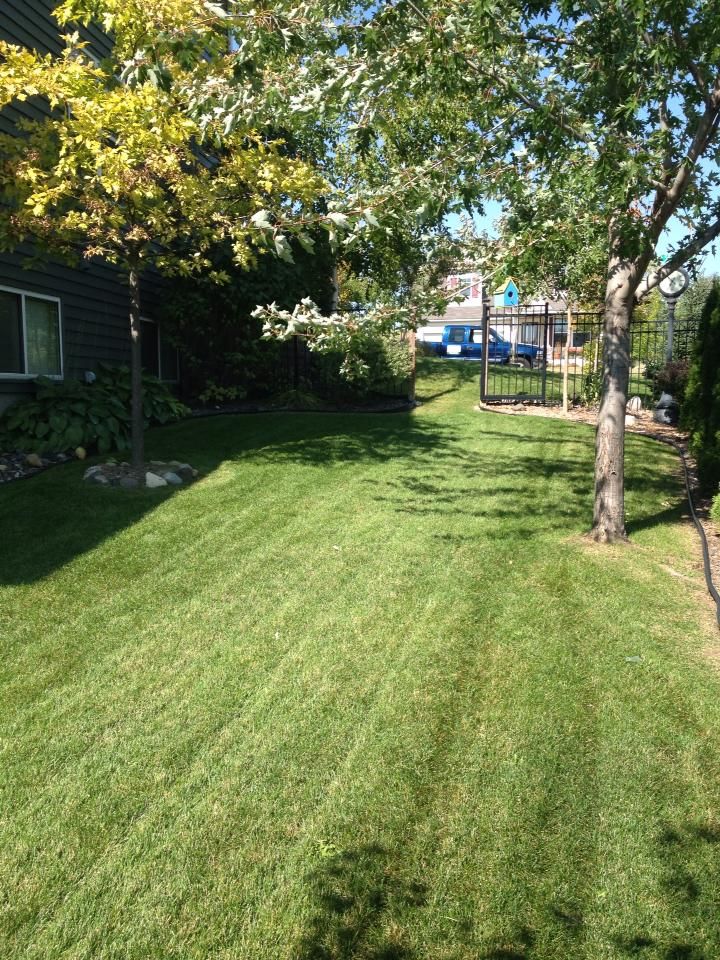 Lawn Care for Keane Lawn Care & Snow Removal in Spring Lake Park, MN