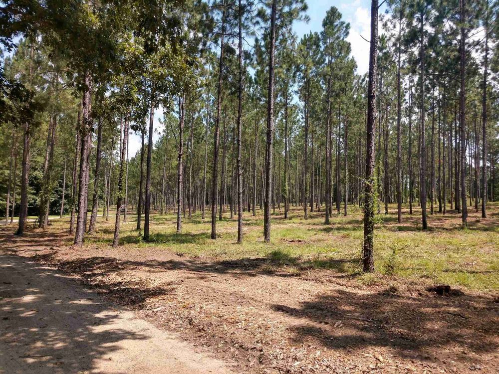 Excavating for Pine Mountain Restoration, LLC Excavation and Fencing Contractor in Howard, PA