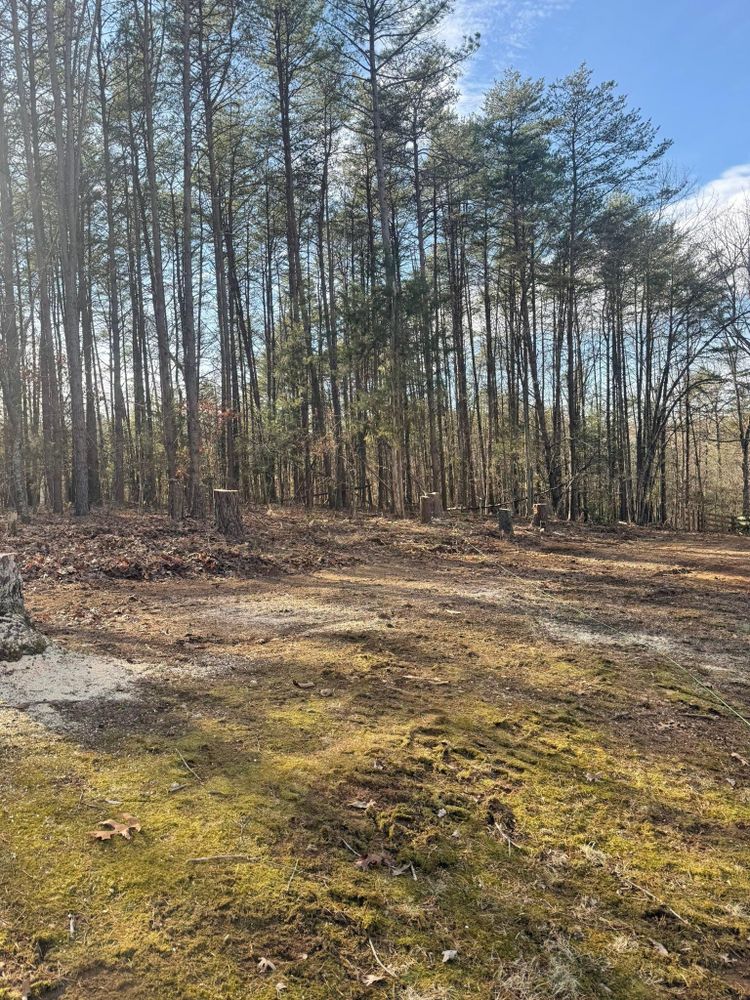 All Photos for Chiles Lawn & Landscaping in Gordonsville, VA