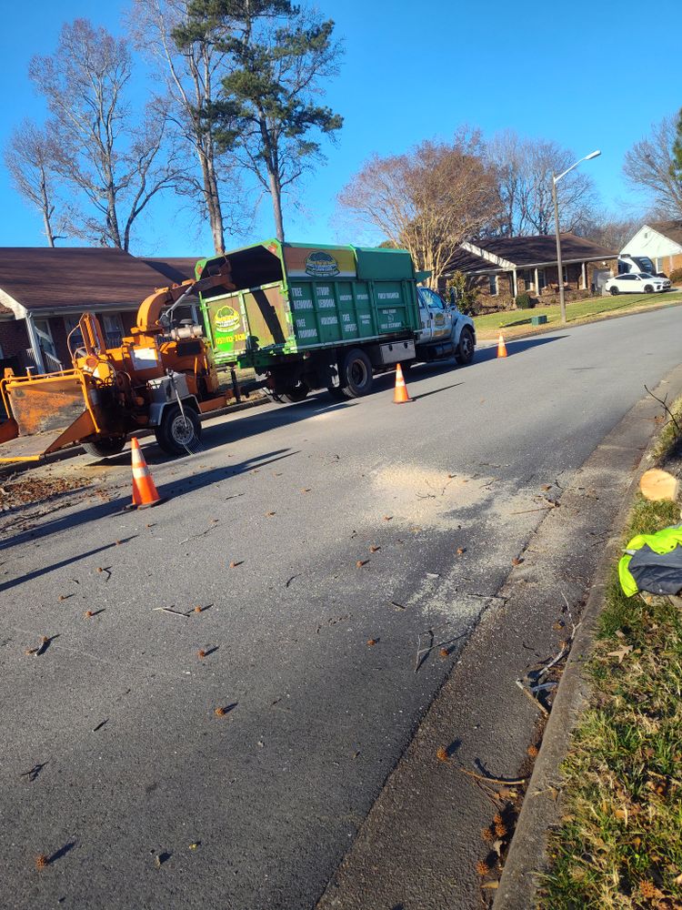 Tree Removal for Noel Velazquez Landscaping  in Williamsburg, VA