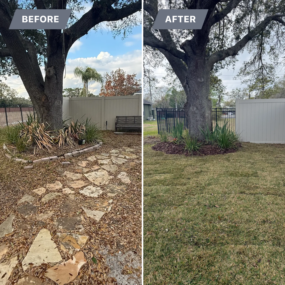 All Photos for Amerigrown Tree And Lawn in Apopka, FL