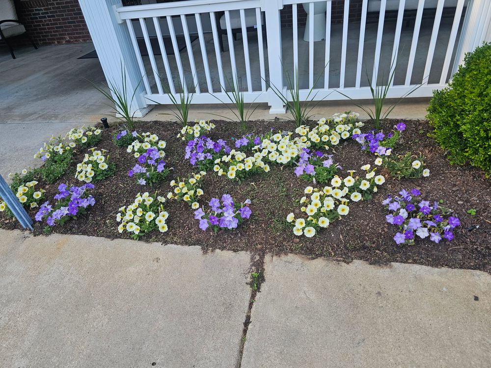 All Photos for Trinity Landscapes  in Lumberton, NC