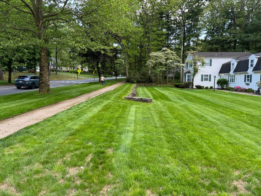 All Photos for Adams Landscaping in Springfield, MA