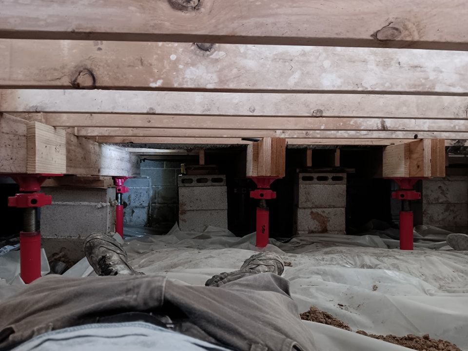 Subfloor repair and Beam Shoring for Dead Tree General Contracting in Carbondale, Illinois