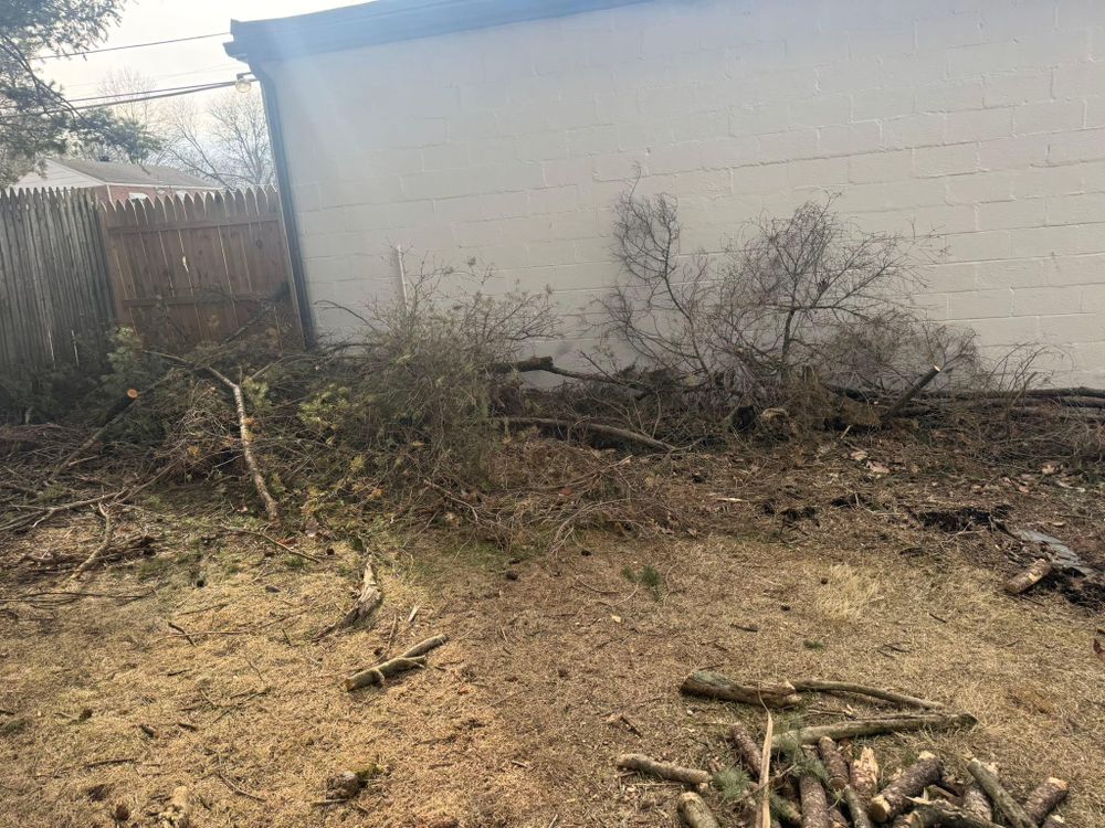 All Photos for Landscape & Lawn Care Pros in Temple, PA