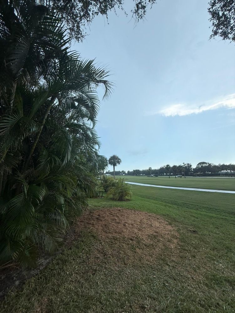 All Photos for MX Trees in Englewood, FL