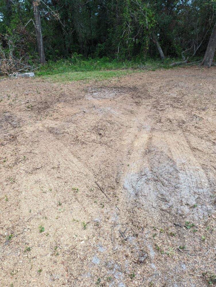 All Photos for Regal Tree Service and Stump Grinding in Wauchula, FL