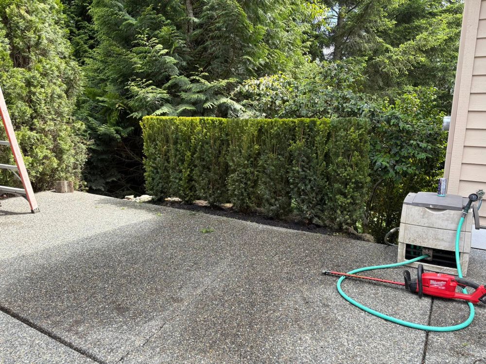 Enhance your home's curb appeal with our professional shrub trimming service. Our experts ensure precise shaping and healthy growth for a beautiful, well-maintained landscape that complements your property year-round. for Teo’s Property Maintenance and Solutions in Redmond, WA