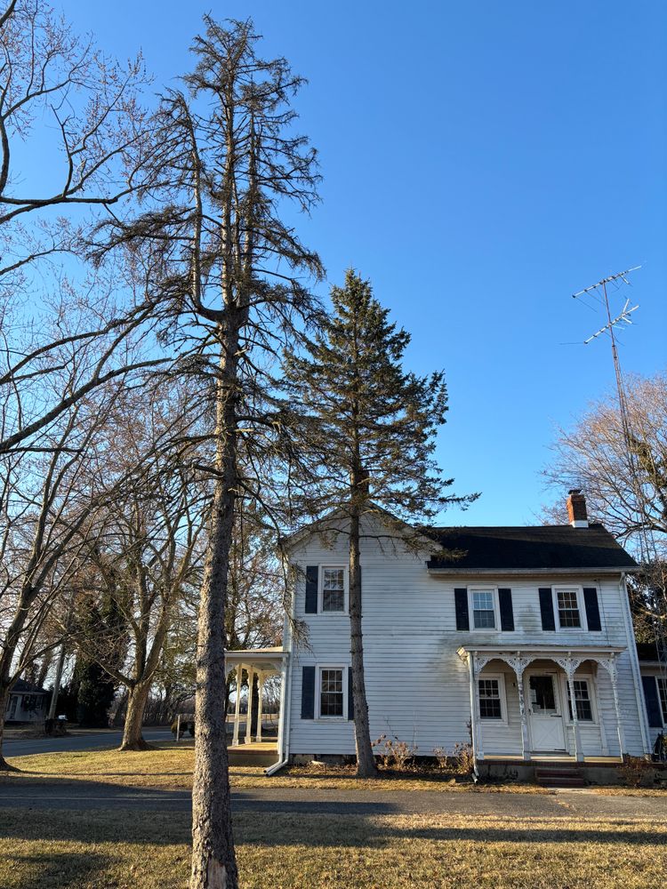 All Photos for Melnyk’s Tree Service in Salem County, NJ