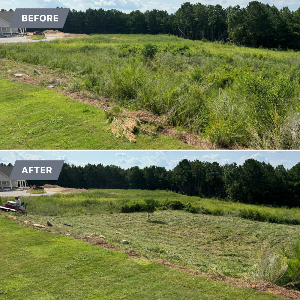 Brush Cutting and Removal for Fayette Property Solutions in Fayetteville, GA