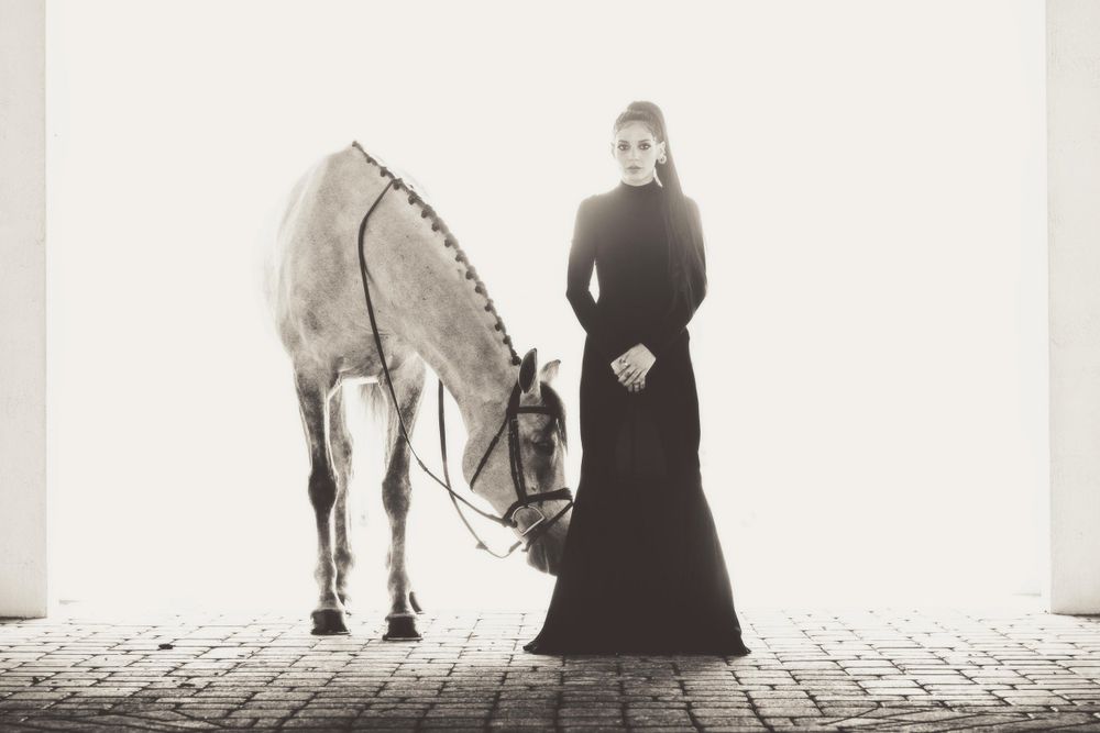 Discover our exquisite Equestrian service, capturing the grace and beauty of horses through stunning photography. Let us bring the elegance and spirit of these majestic creatures to life in your home. for Donohue Studios in Midway , KY