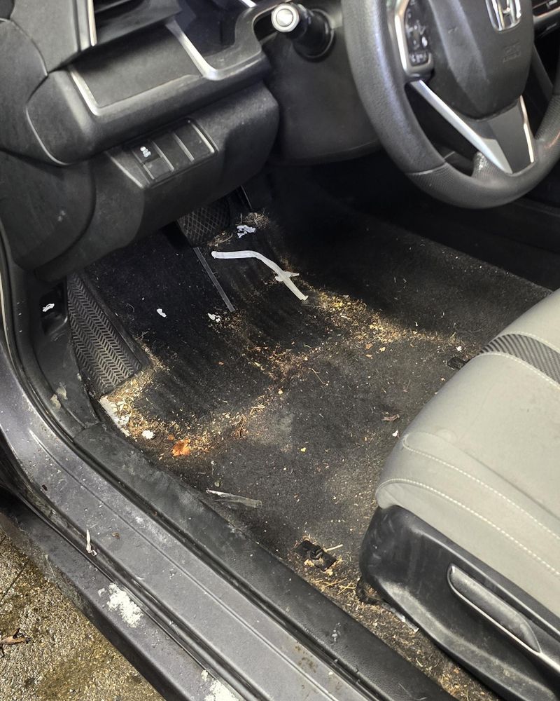 All Photos for Luxury Auto Detail in Peoria, IL