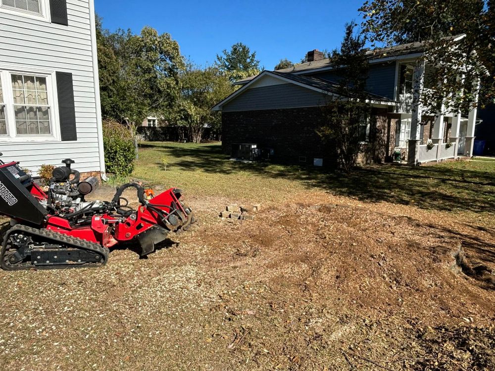 Tree Services for Total Tree Care in Erwin, North Carolina