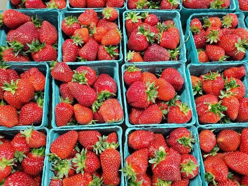 Mowing for Viking Dirtworks and Landscaping in Gallatin, MO