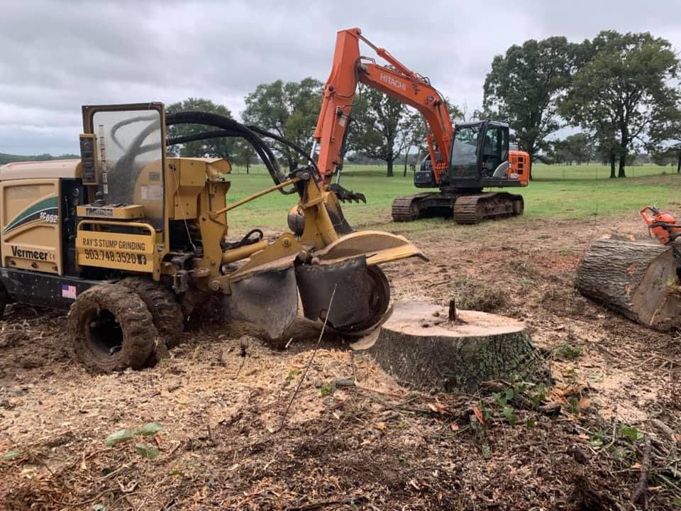 We offer professional stump removal services to fully eliminate unsightly tree stumps from your property, ensuring a clean and clear landscape that is safe and aesthetically pleasing. for Ray's Stump Grinding in Texarkana,,  TX