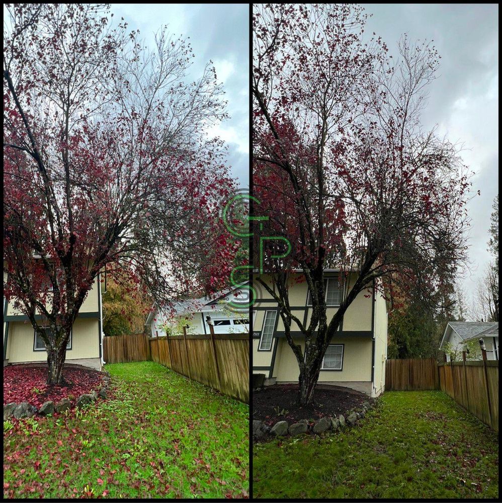 Fall Clean Up for Golovin Property Services LLC in Marysville, WA