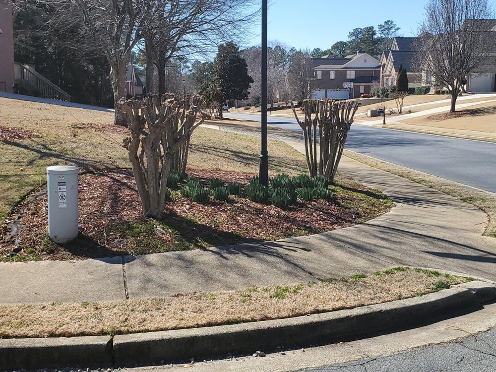 All Photos for Terra Bites Lawn Service in Jefferson, GA