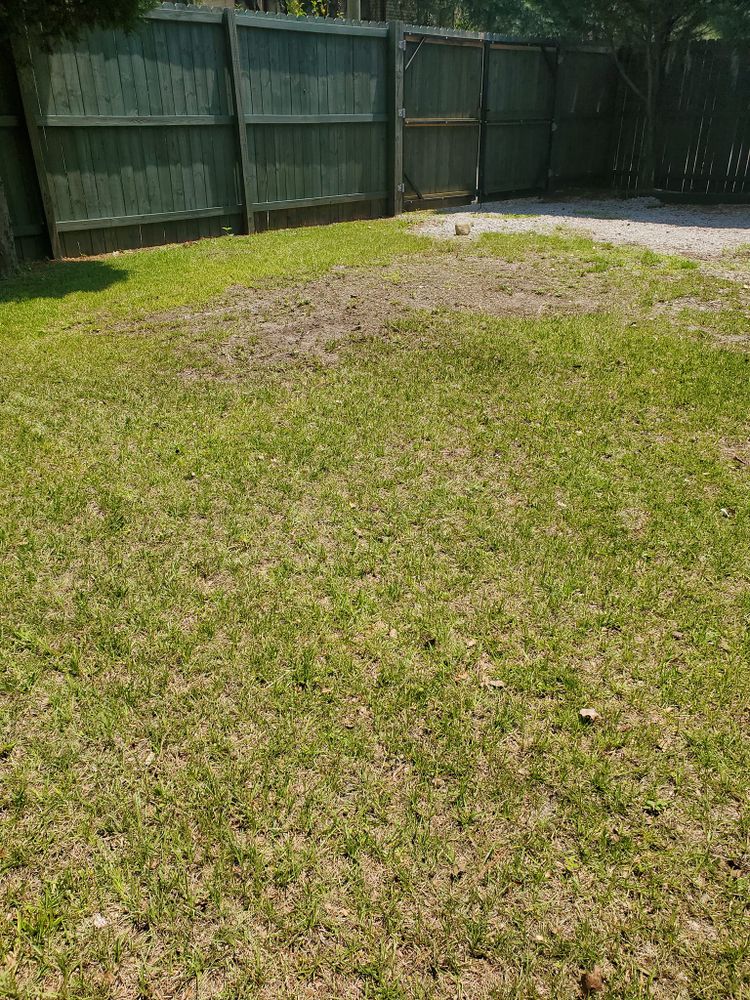 Lawn Care for Ready Set Go Lawncare Services in Savannah, GA