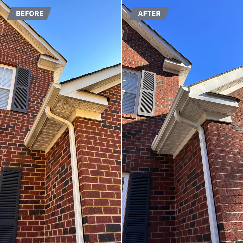 All Photos for LeafTide Solutions in Richmond, VA