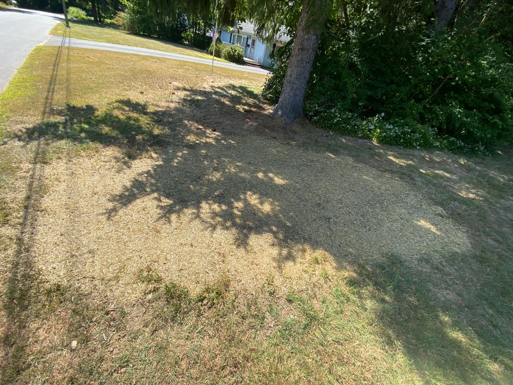 All Photos for Stevenson Property Maintenance in Cheshire, CT