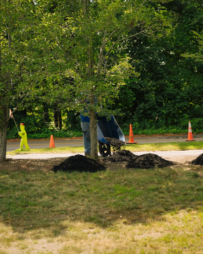 All Photos for Pungitore Landscapes, Irrigation & Fertilizer in Hingham, MA