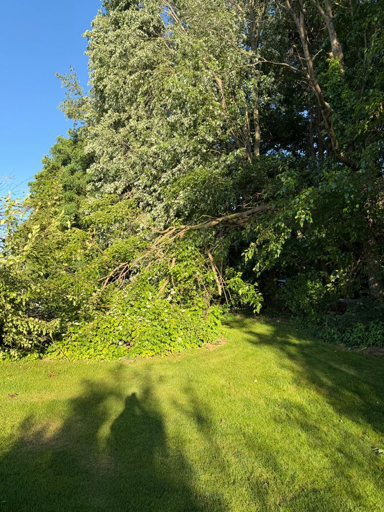All Photos for Blakescape in Elkhart, IN