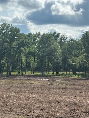 All Photos for JM Services in Woodville, TX