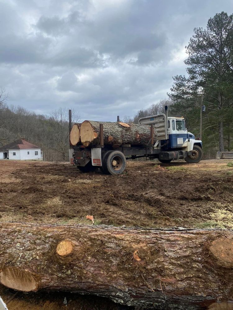 We offer professional stump removal services to fully eliminate unsightly stumps from your property, ensuring a seamless and safe landscape transformation that enhances the overall aesthetic appeal of your home. for Lance Tree Service in Tellico Plains ,  TN