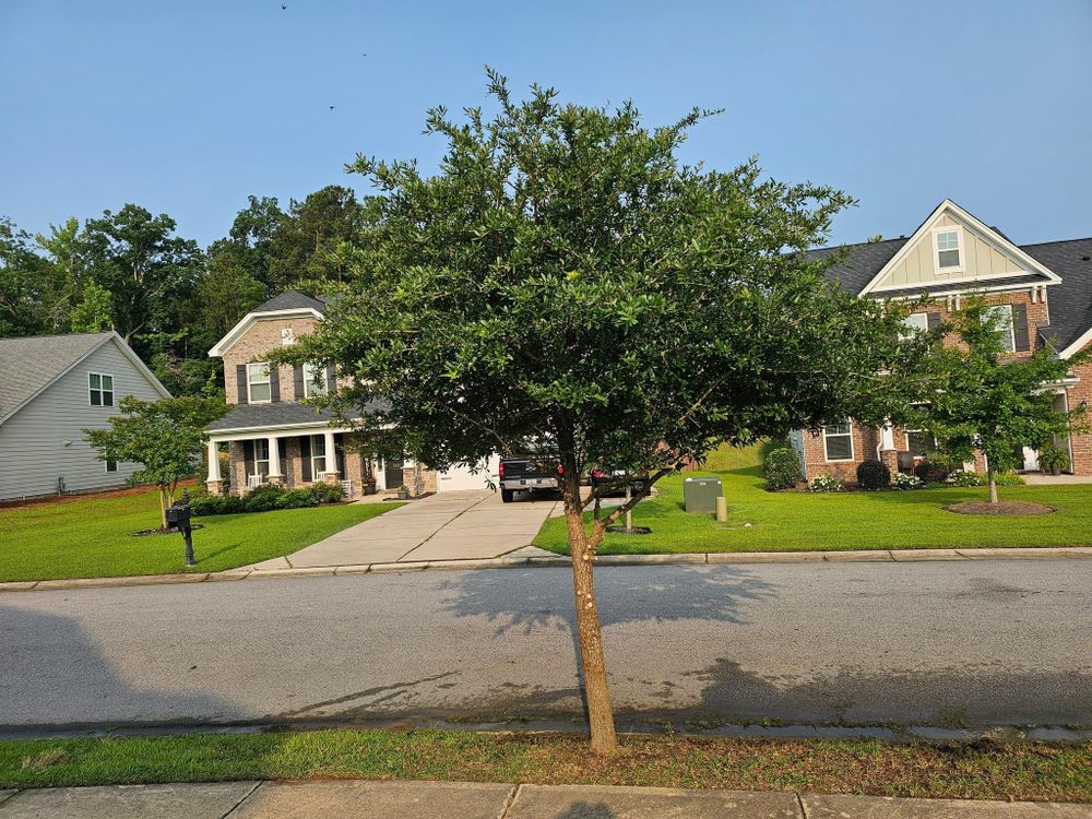All Photos for 1 Man Does It Lawn Service in Blythewood, SC