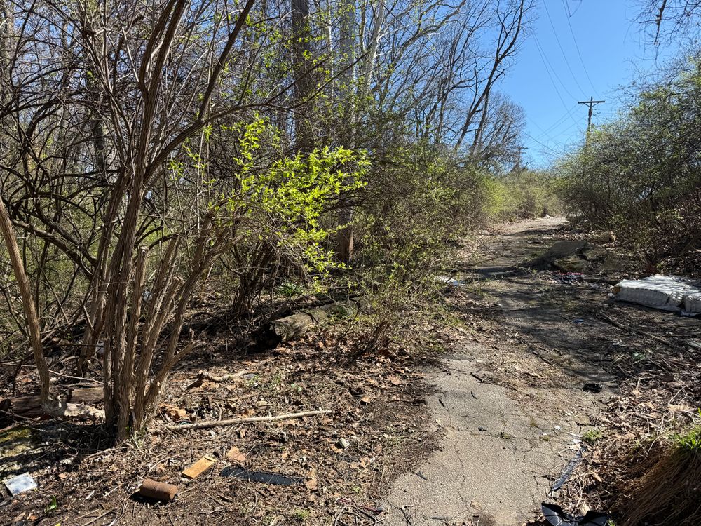 All Photos for A1 Bush Hogging & Lawn Service in London, OH