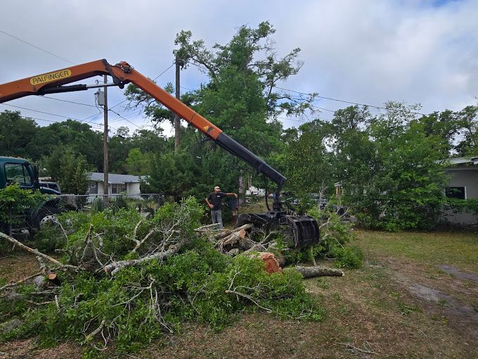 All Photos for Near Me Tree Service, Inc. in DeLand, FL