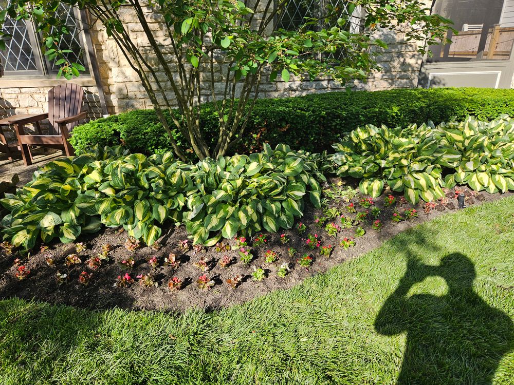 Landscaping for Double D Landscape Services in Columbus ,  OH