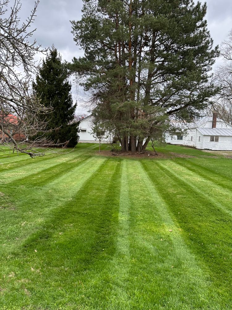 All Photos for OT Lawn and Landscaping LLC in Carey, OH